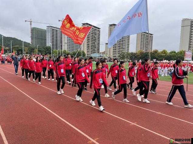 超级凌乱的校园运动会有弹窗打得开了吗：探寻其背后的原因与影响